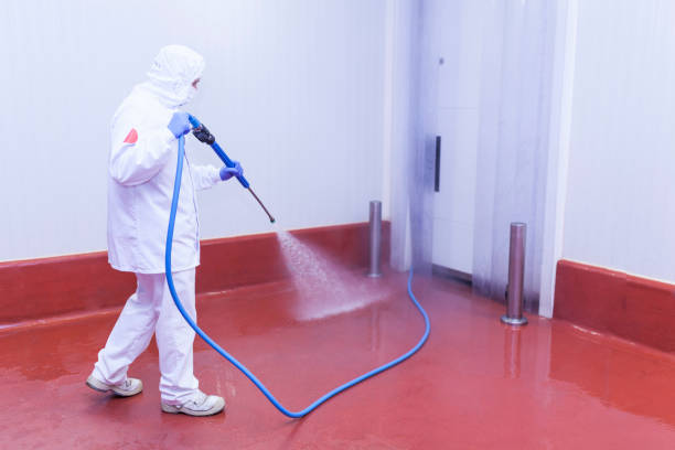 Best Sidewalk and Walkway Cleaning  in Jasper, IN