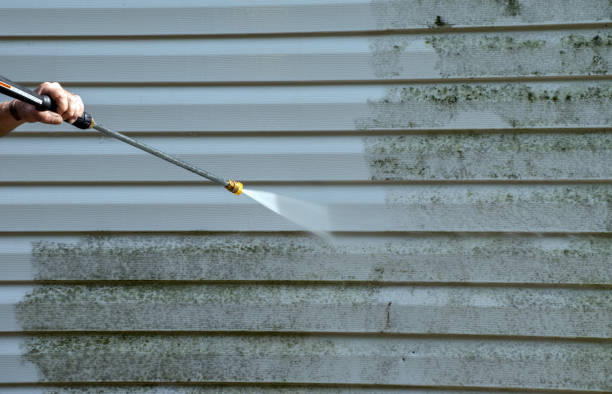 Best House Exterior Washing  in Jasper, IN